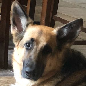 Meet your Posher, Jill